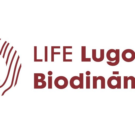 LL+BLogo