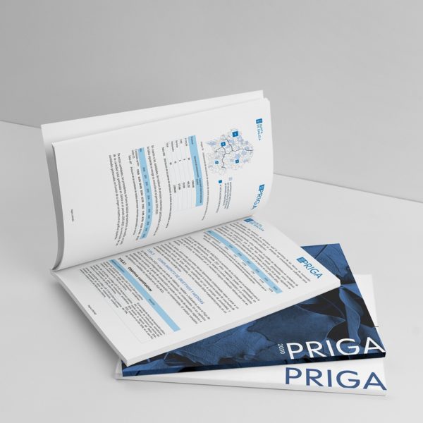 Internas y contraportada